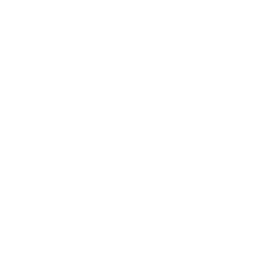 Logo Stroke 2